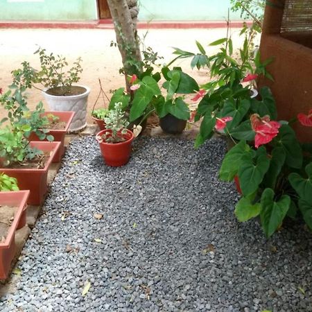 Pawansa Home Stay Habarana Buitenkant foto