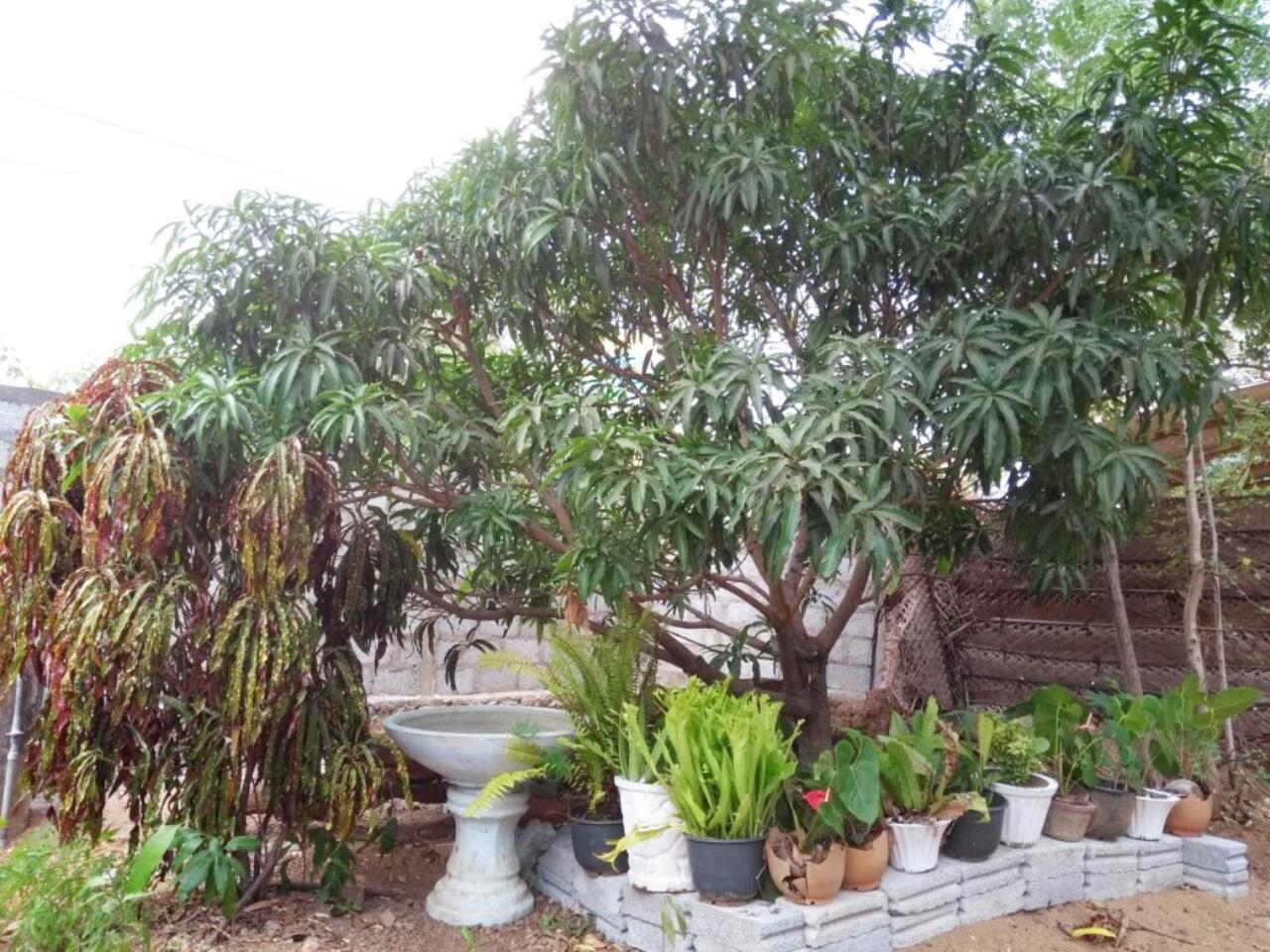 Pawansa Home Stay Habarana Buitenkant foto